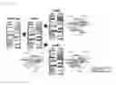 Fig. 06 - Method for producing antibody CH3 domain heterodimeric mutant pair using yeast mating and CH3 mutant pair produced thereby