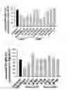 Fig. 07 - Method for producing antibody CH3 domain heterodimeric mutant pair using yeast mating and CH3 mutant pair produced thereby