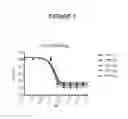 Fig. 02 - Antibodies specific for FLT3 and their uses