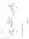 Fig. 07 - Functionalized flame-retardant aconitic acid-derived molecules