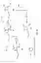 Fig. 08 - Functionalized flame-retardant aconitic acid-derived molecules