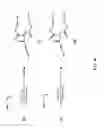 Fig. 09 - Functionalized flame-retardant aconitic acid-derived molecules