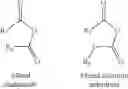 Fig. 09 - PLANT BASED MATERIAL FOR INJECTION MOLDING