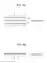 Fig. 05 - In-situ polymerized type thermoplastic prepreg, thermoplastic composite, and methods of manufacturing the same