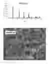 Fig. 04 - Process for producing nano-scale crystalline boehmite