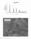 Fig. 06 - Process for producing nano-scale crystalline boehmite