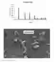 Fig. 07 - Process for producing nano-scale crystalline boehmite