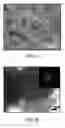 Fig. 04 - WORKING FLUID AND MANUFACTURING METHOD OF METAL PARTICLES