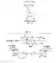 Fig. 04 - Modified biopolymers for diversion, conformance, and fluid loss control