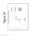Fig. 33 - Exchangeable cation (Mg) swell potential reduction method