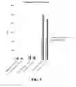 Fig. 08 - GAS-INFUSED FLUIDS AND METHODS OF MAKING AND USING SAME