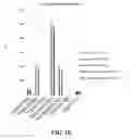 Fig. 09 - GAS-INFUSED FLUIDS AND METHODS OF MAKING AND USING SAME