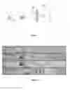 Fig. 02 - Method for mechanical and hydrodynamic microfluidic transfection