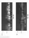Fig. 16 - Device For Reduced Oxygen Concentration Culture In Microfluidic Systems