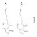 Fig. 09 - Compositions and methods for activation and overexpression of secondary metabolites in microorganisms