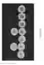 Fig. 13 - Compositions and methods for activation and overexpression of secondary metabolites in microorganisms