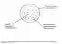 Fig. 04 - CELL CULTURE MEDIA AND METHODS