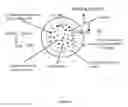 Fig. 09 - CELL CULTURE MEDIA AND METHODS