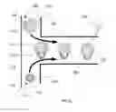 Fig. 03 - Artificial micro-gland