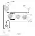 Fig. 06 - Artificial micro-gland