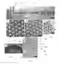 Fig. 08 - Artificial micro-gland