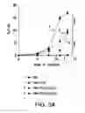 Fig. 10 - DIFFERENTIATION OF CORTICAL NEURONS FROM HUMAN PLURIPOTENT STEM CELLS