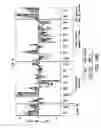 Fig. 45 - DIFFERENTIATION OF CORTICAL NEURONS FROM HUMAN PLURIPOTENT STEM CELLS