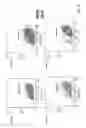 Fig. 16 - Chimeric antigen receptor cell preparation and uses thereof