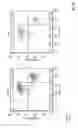 Fig. 19 - Chimeric antigen receptor cell preparation and uses thereof