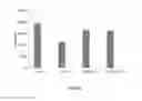 Fig. 12 - GENERATION OF MUSCLE-LINEAGE CLELS FROM STEM CELLS