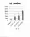 Fig. 16 - GENERATION OF MUSCLE-LINEAGE CLELS FROM STEM CELLS