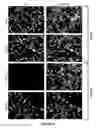 Fig. 07 - Method to increase the infectivity of virus particles