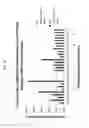 Fig. 15 - NOVEL GUIDE RNA/CAS ENDONUCLEASE SYSTEMS
