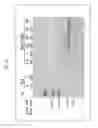 Fig. 23 - NOVEL GUIDE RNA/CAS ENDONUCLEASE SYSTEMS