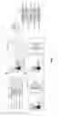 Fig. 03 - INTERCELLULAR LABELING OF LIGAND-RECEPTOR INTERACTIONS