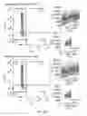 Fig. 06 - MEANS AND METHODS FOR PREPARING ENGINEERED PROTEINS BY GENETIC CODE EXPANSION IN INSECT CELLS
