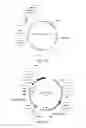 Fig. 27 - MEANS AND METHODS FOR PREPARING ENGINEERED PROTEINS BY GENETIC CODE EXPANSION IN INSECT CELLS