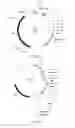 Fig. 29 - MEANS AND METHODS FOR PREPARING ENGINEERED PROTEINS BY GENETIC CODE EXPANSION IN INSECT CELLS
