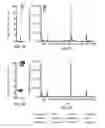 Fig. 07 - 3D synthetic tissue hydrogels
