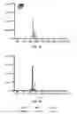 Fig. 08 - 3D synthetic tissue hydrogels