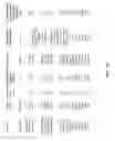 Fig. 30 - 3D synthetic tissue hydrogels