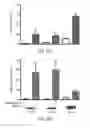 Fig. 57 - 3D synthetic tissue hydrogels