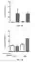Fig. 58 - 3D synthetic tissue hydrogels