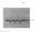 Fig. 03 - Phage engineering: protection by circularized intermediate