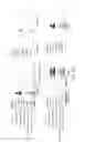 Fig. 12 - Methods of reducing expression of X-inactivation escapee genes and autosomal genes