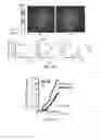 Fig. 26 - Methods of reducing expression of X-inactivation escapee genes and autosomal genes