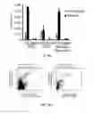 Fig. 32 - Methods of reducing expression of X-inactivation escapee genes and autosomal genes