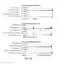 Fig. 34 - Methods of reducing expression of X-inactivation escapee genes and autosomal genes