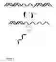 Fig. 04 - System and method for reversible photo-controlled gene silencing