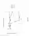 Fig. 12 - Serpina1 iRNA compositions and methods of use thereof